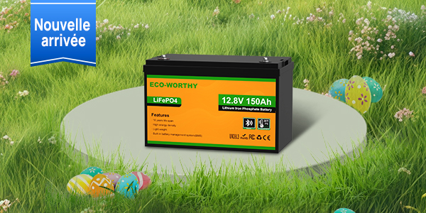 Batterie lithium LiFePO4 12V 150Ah avec Bluetooth