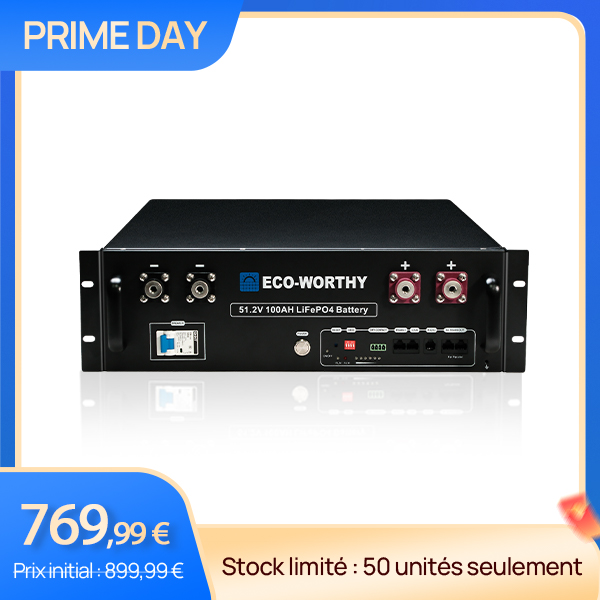 ECO-WORTHY Batterie pour serveur rack 48V (51,2 V) 100Ah avec Bluetooth et Wi-Fi