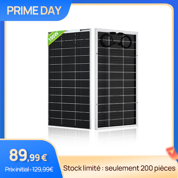 Panneau solaire monocristallin bifacial 195W 12V