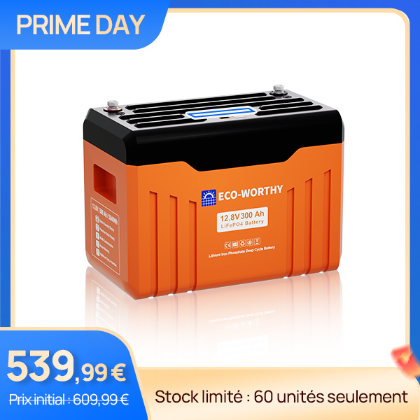 ECO-WORTHY Batterie Lithium 12V 300Ah LiFePO4 Bluetooth avec écran, 200A BMS